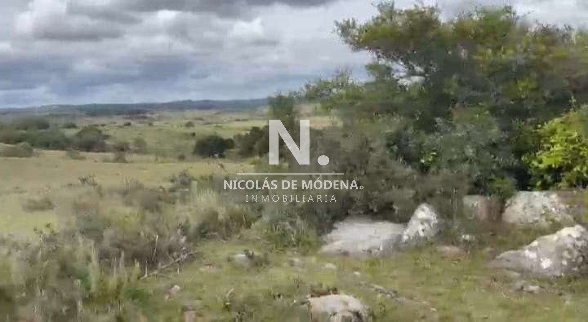 Campo