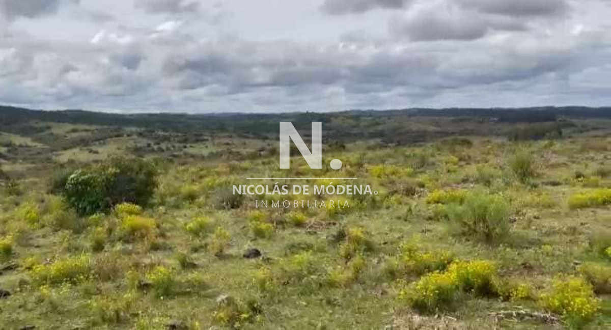 Campo