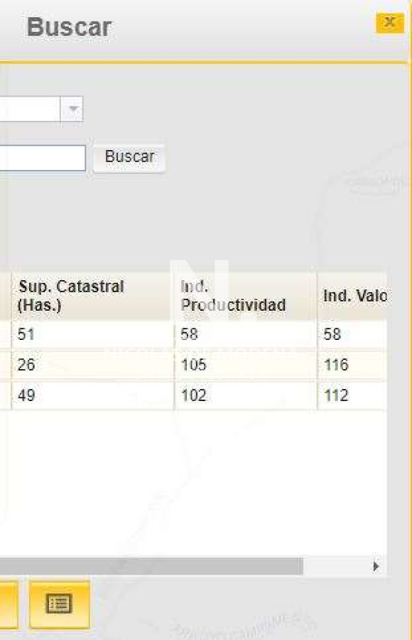 Campo