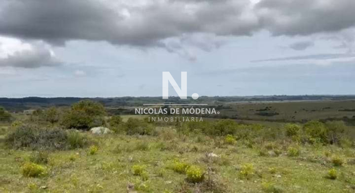 Venta Campo en Maldonado 127 ha - GoPunta - Portal Inmobiliario de Punta del Este - Maldonado