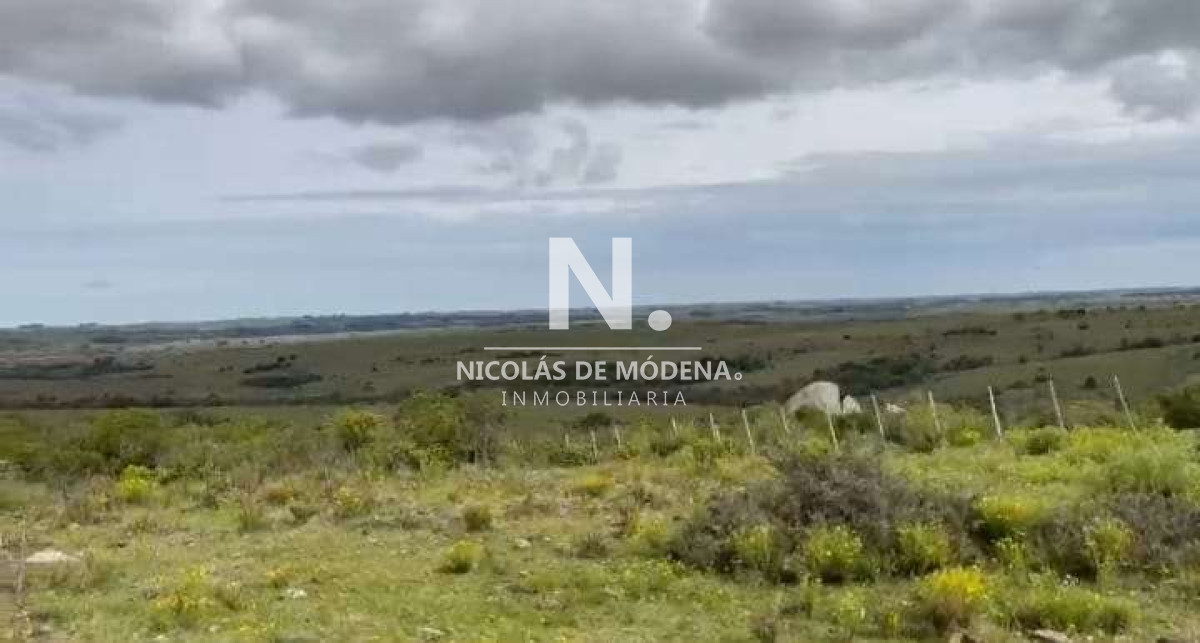Campo