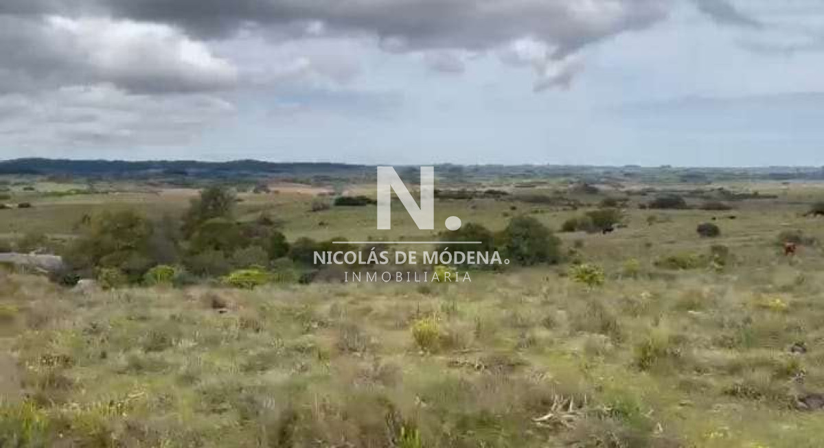 Campo