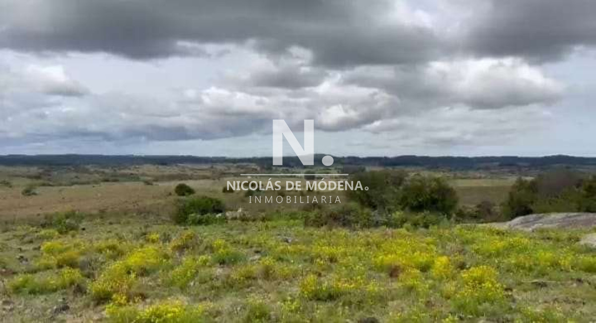 Venta Campo en Maldonado 127 ha - GoPunta - Portal Inmobiliario de Punta del Este - Maldonado