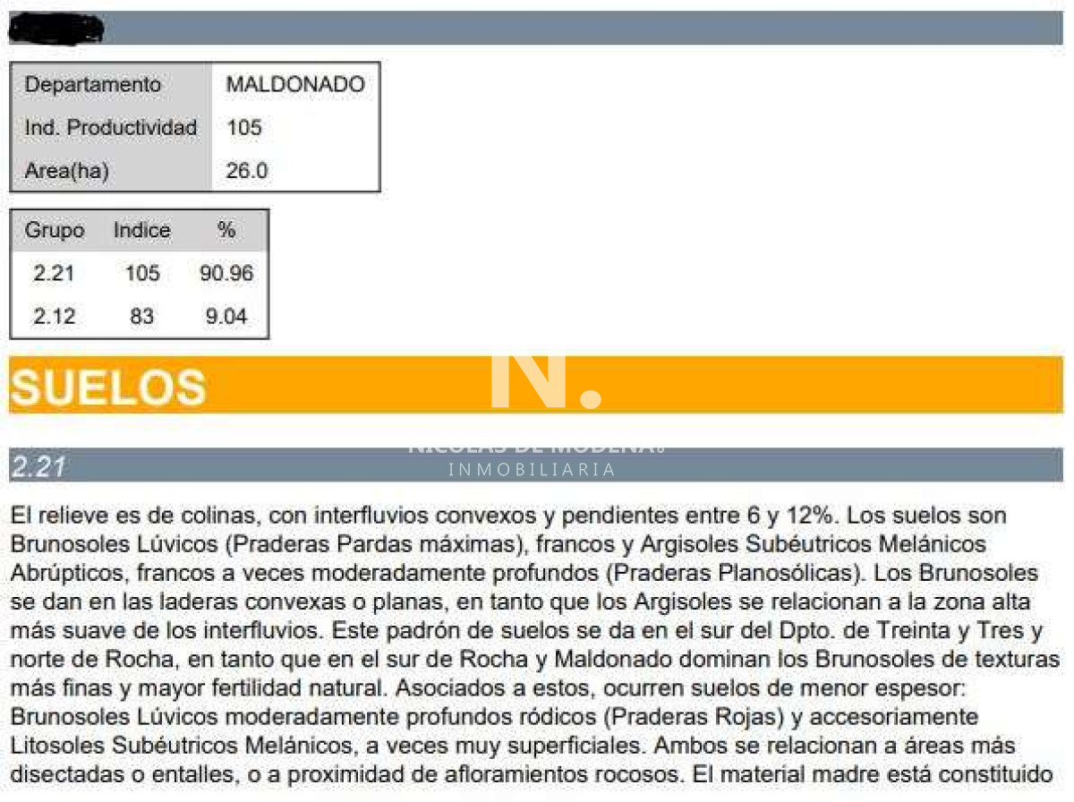 Campo