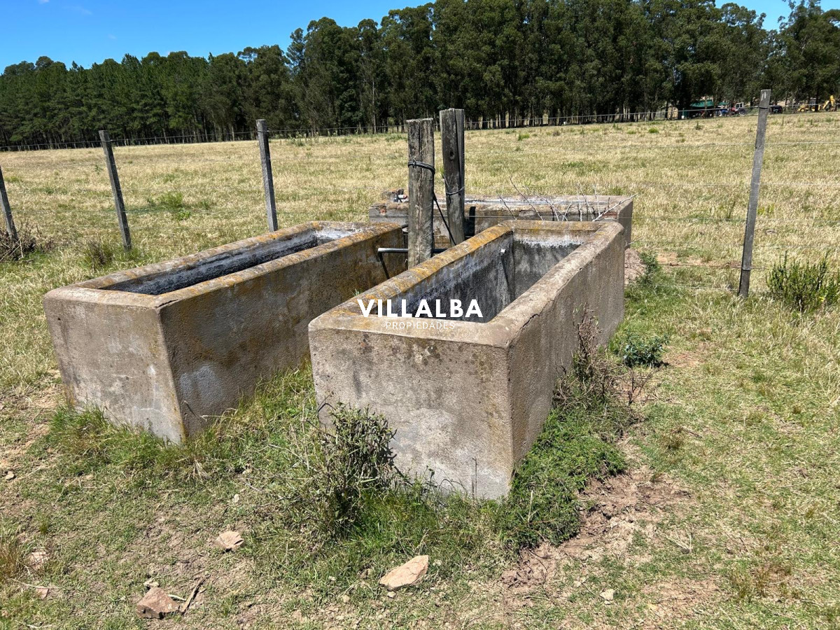 Chacra ID.4737 - Excelente Chacra 5hás Pueblo Edén
