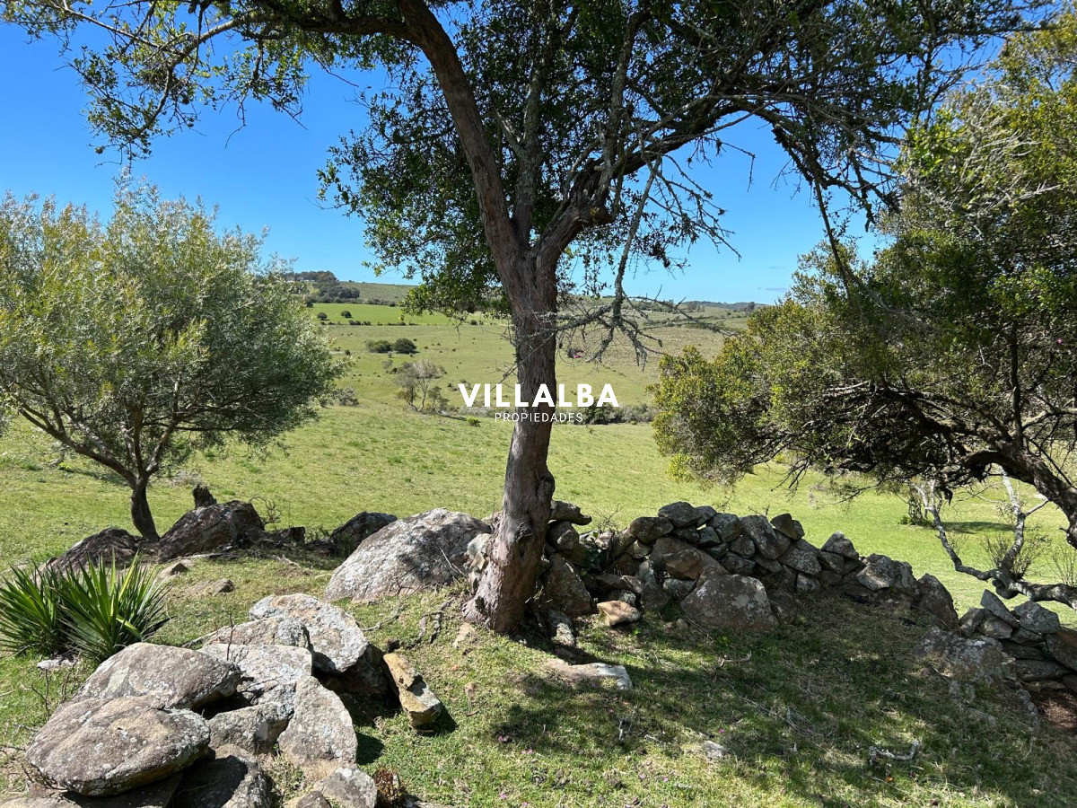 Chacra ID.4076 - Venta de Chacra en Pueblo Eden 