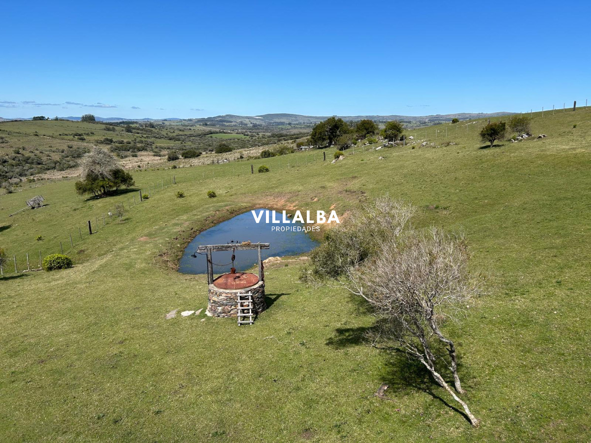 Chacra ID.4077 - Chacra en Pueblo Edén 11ha