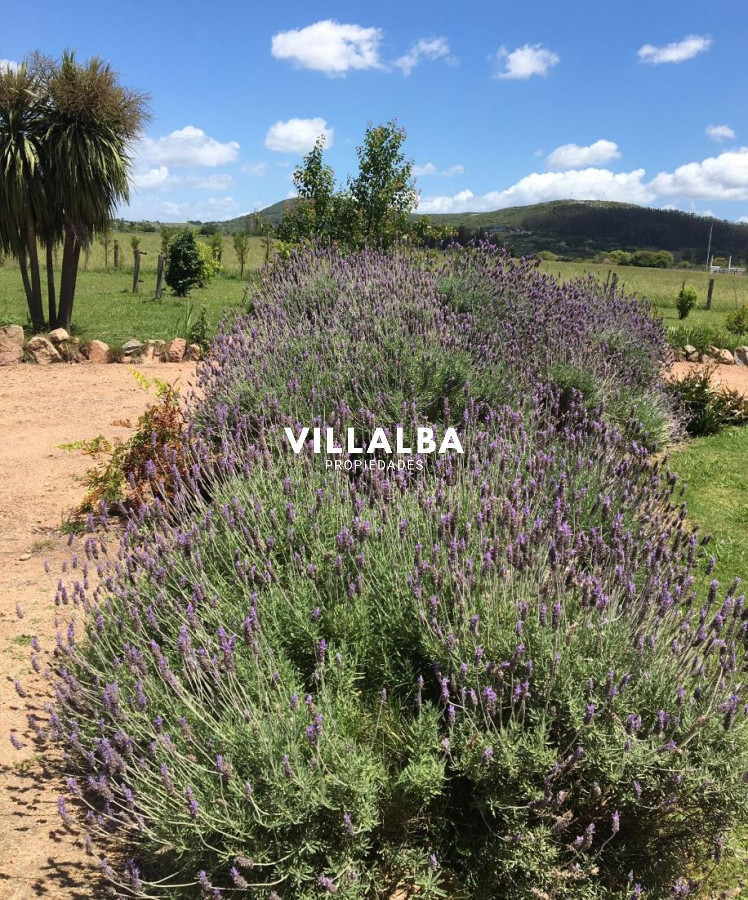 Chacra ID.4318 - Vende chacra de 14.5 ha en Pueblo Edén