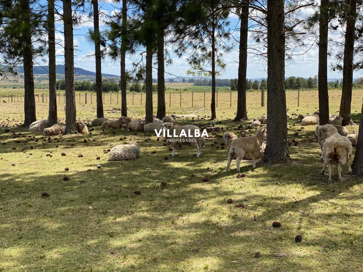 Chacra ID.4741 - Venta de chacra en Pueblo Edén 