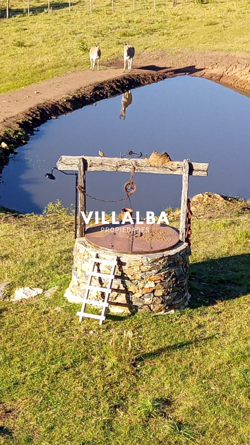 Chacra ID.4077 - Chacra en Pueblo Edén 11ha