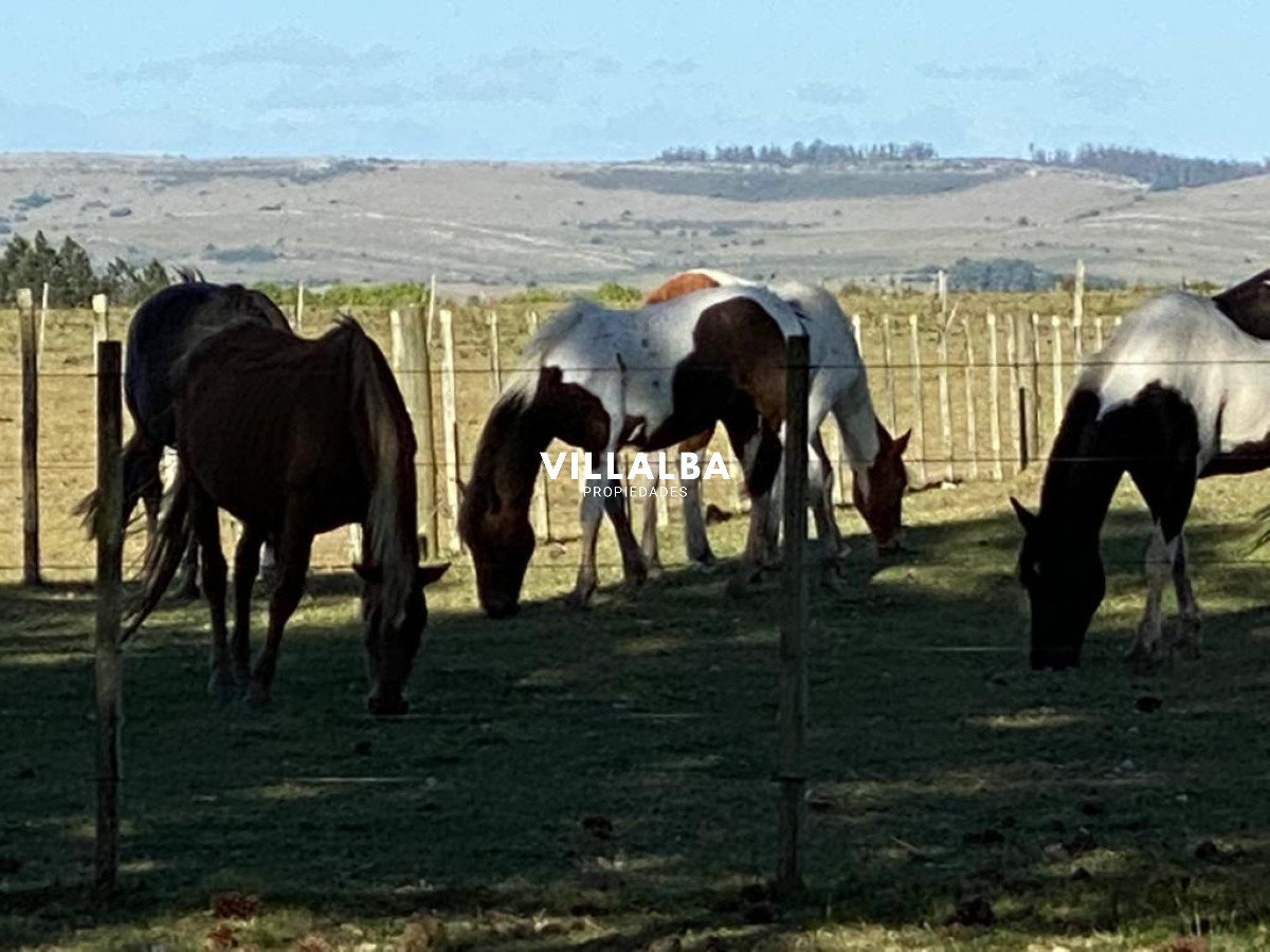 Chacra ID.4741 - Venta de chacra en Pueblo Edén 