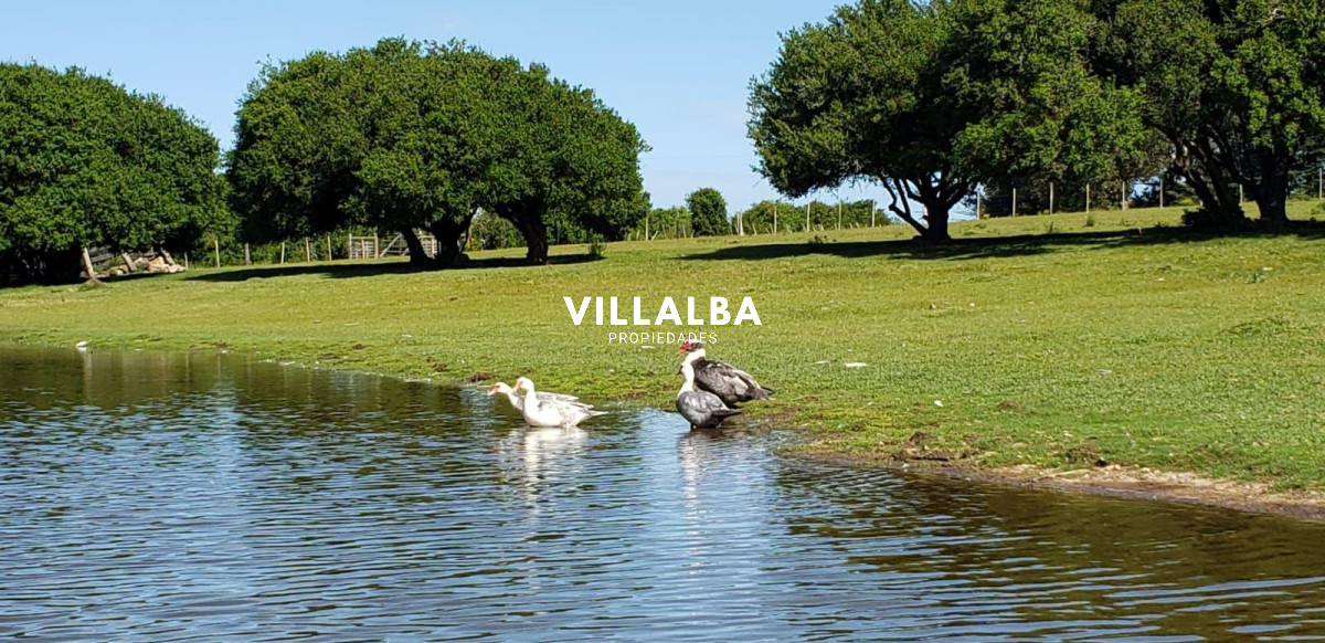 Chacra ID.4318 - Vende chacra de 14.5 ha en Pueblo Edén