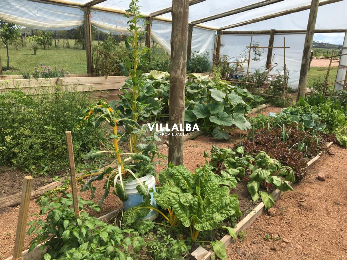 Chacra ID.4318 - Vende chacra de 14.5 ha en Pueblo Edén