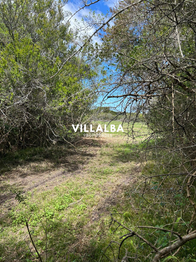 Apartamento ID.4349 - Venta de Chacras en Piriapolis Las Flores 