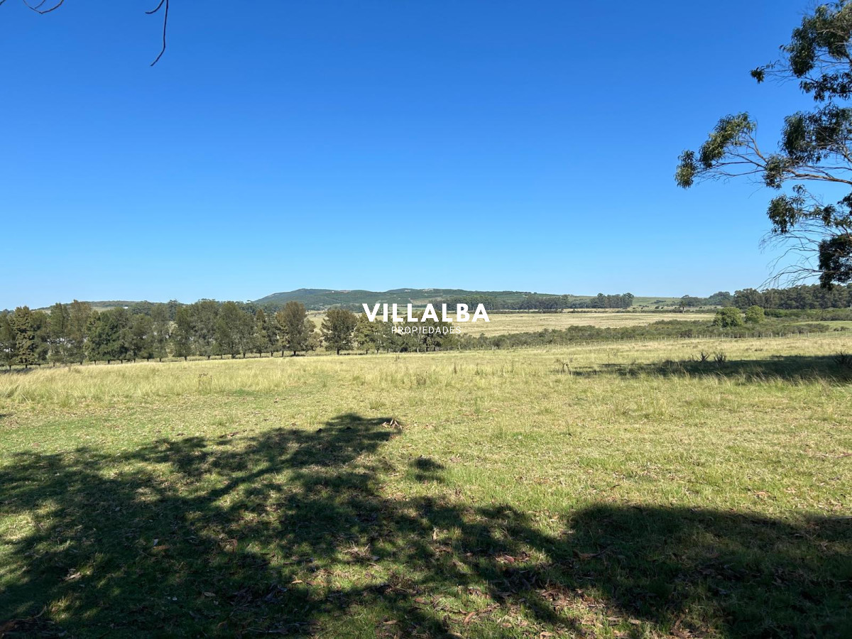 Apartamento ID.4349 - Venta de Chacras en Piriapolis Las Flores 