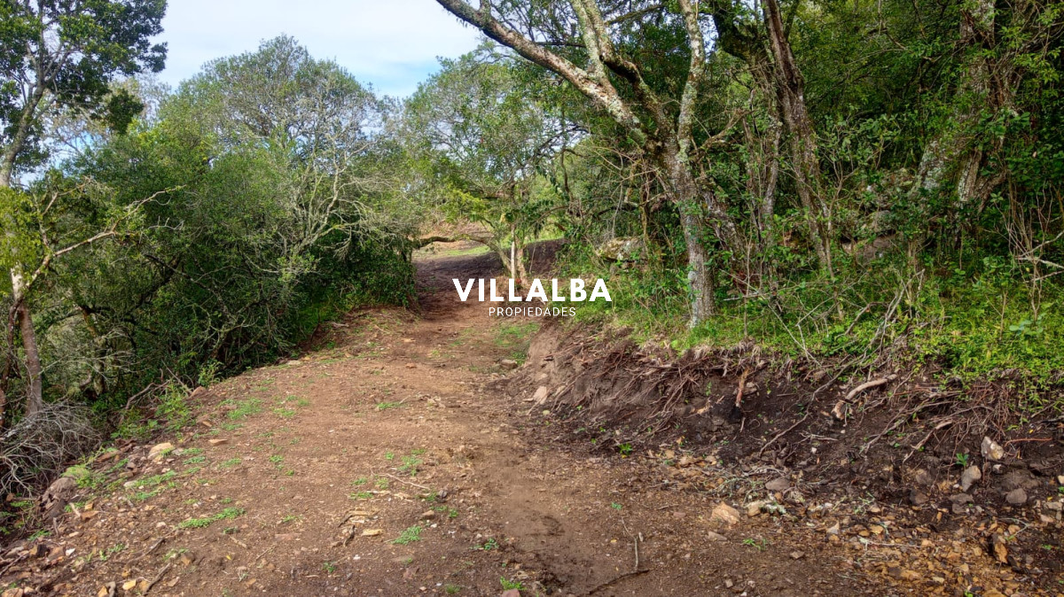 Chacra ID.4077 - Chacra en Pueblo Edén 11ha