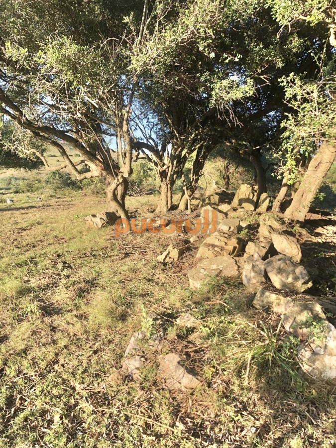 Pueblo Eden - GoPunta - Portal Inmobiliario de Punta del Este - Maldonado