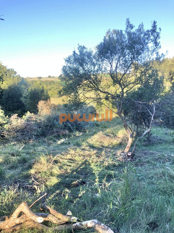 Pueblo Eden - GoPunta - Portal Inmobiliario de Punta del Este - Maldonado