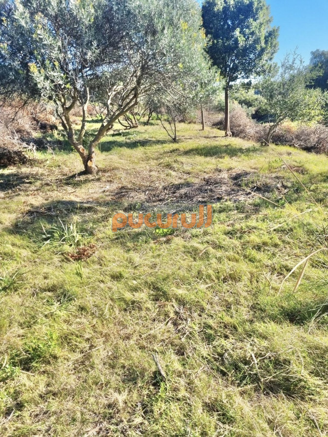 Pueblo Eden - GoPunta - Portal Inmobiliario de Punta del Este - Maldonado