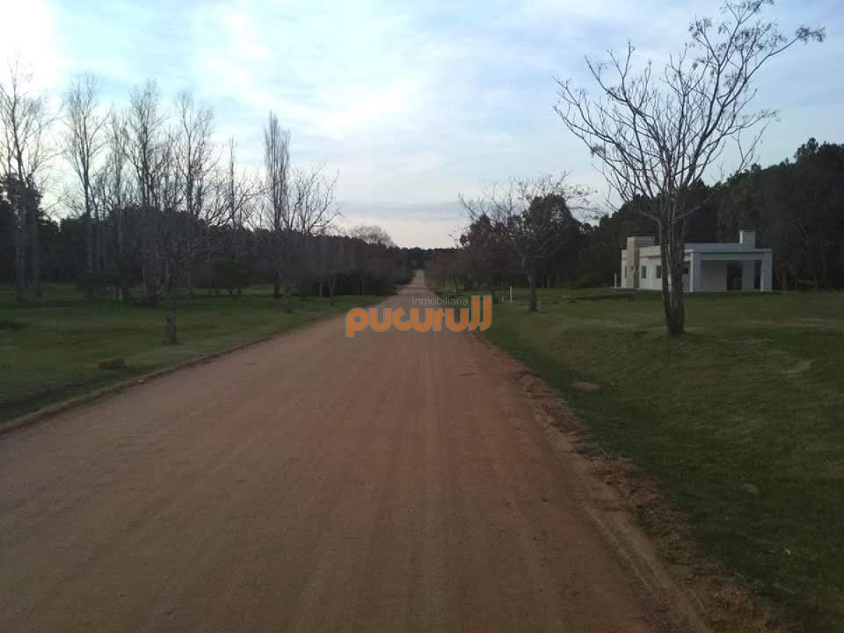 Chacras del Pinar - GoPunta - Portal Inmobiliario de Punta del Este - Maldonado