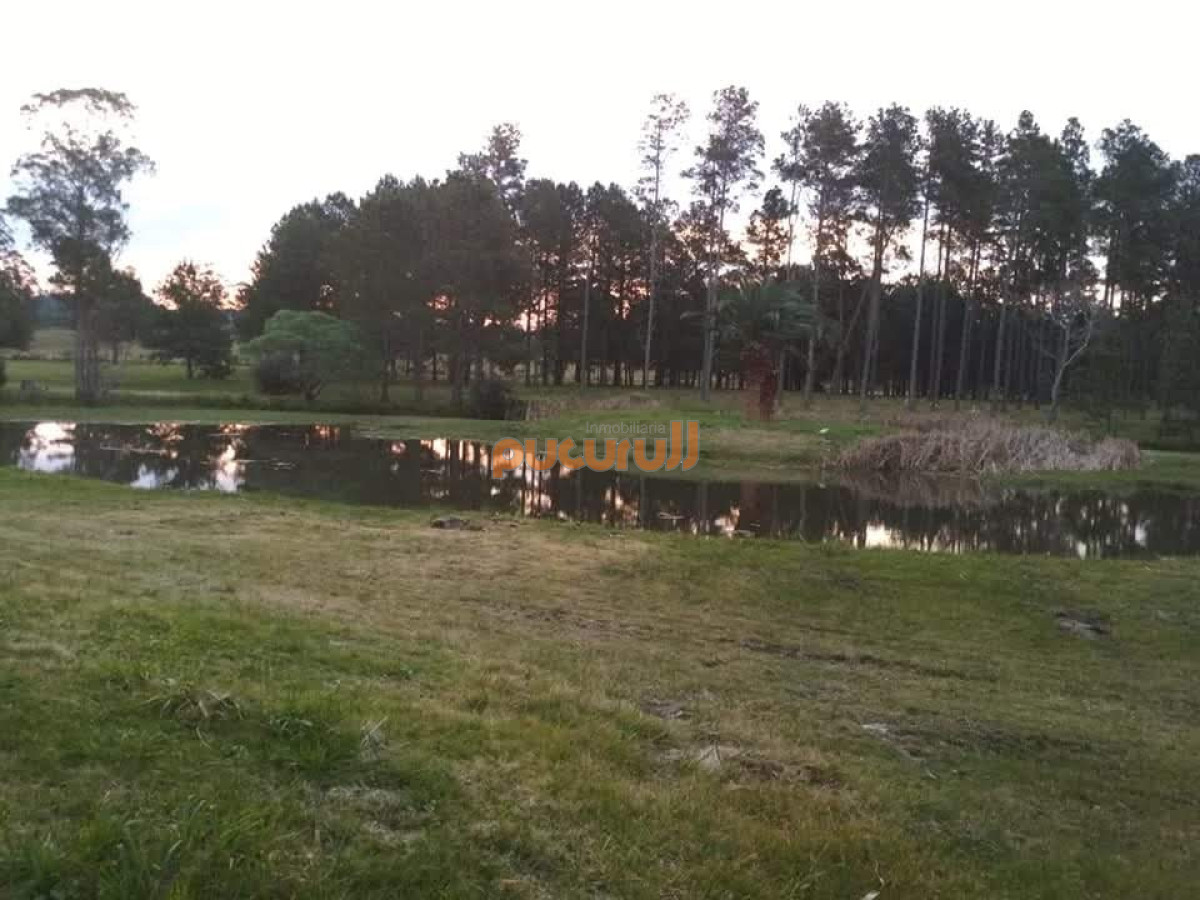 Chacras del Pinar - GoPunta - Portal Inmobiliario de Punta del Este - Maldonado