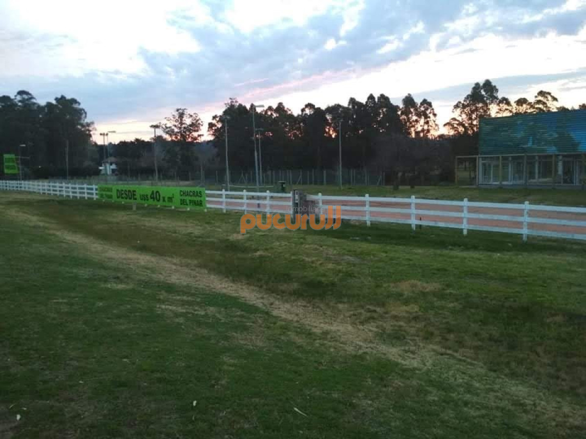 Chacras del Pinar - GoPunta - Portal Inmobiliario de Punta del Este - Maldonado