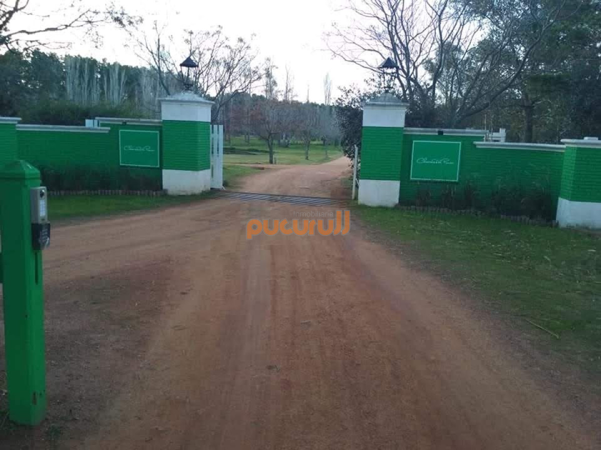 Chacras del Pinar - GoPunta - Portal Inmobiliario de Punta del Este - Maldonado