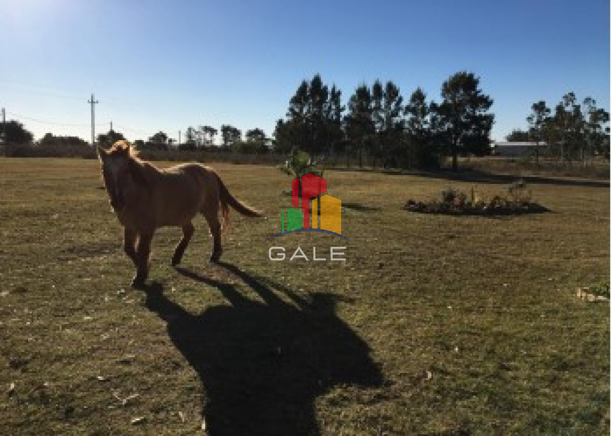 Camino de los Ceibos - GoPunta - Portal Inmobiliario de Punta del Este - Maldonado