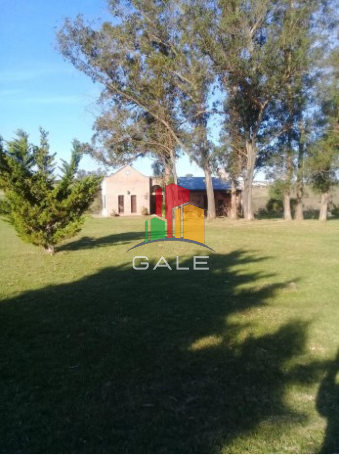 Camino de los Ceibos - GoPunta - Portal Inmobiliario de Punta del Este - Maldonado