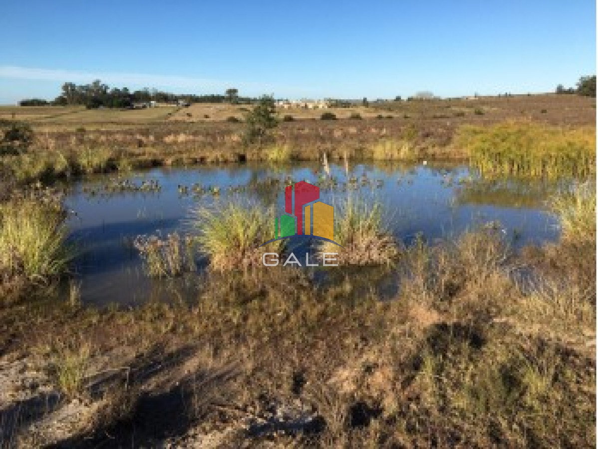 Chacra ID.3645 - Chacra Camino de los Ceibos