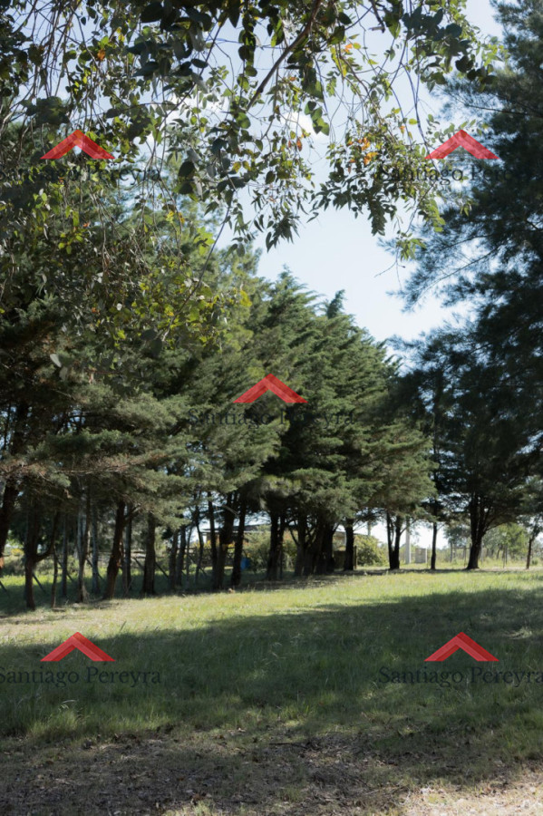 Chacra ID.15247 - Chacra Pueblo Edén del Sarandí