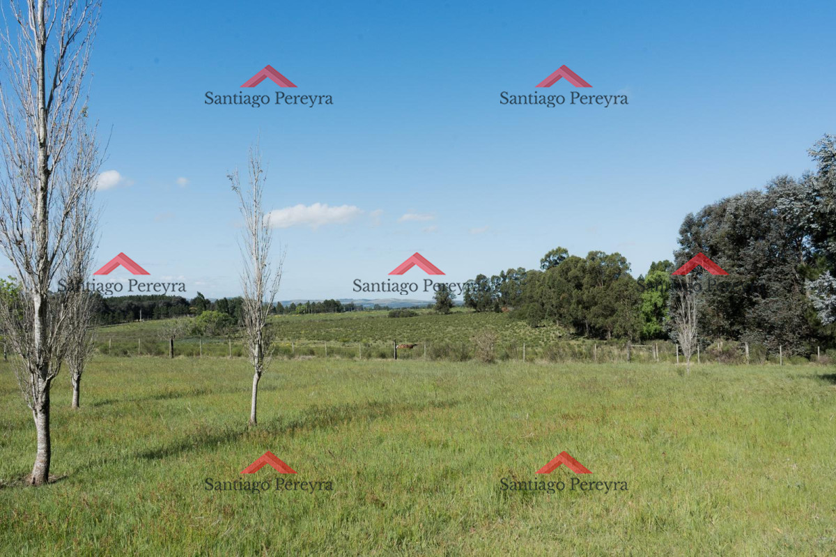 Chacra ID.15247 - Chacra Pueblo Edén del Sarandí