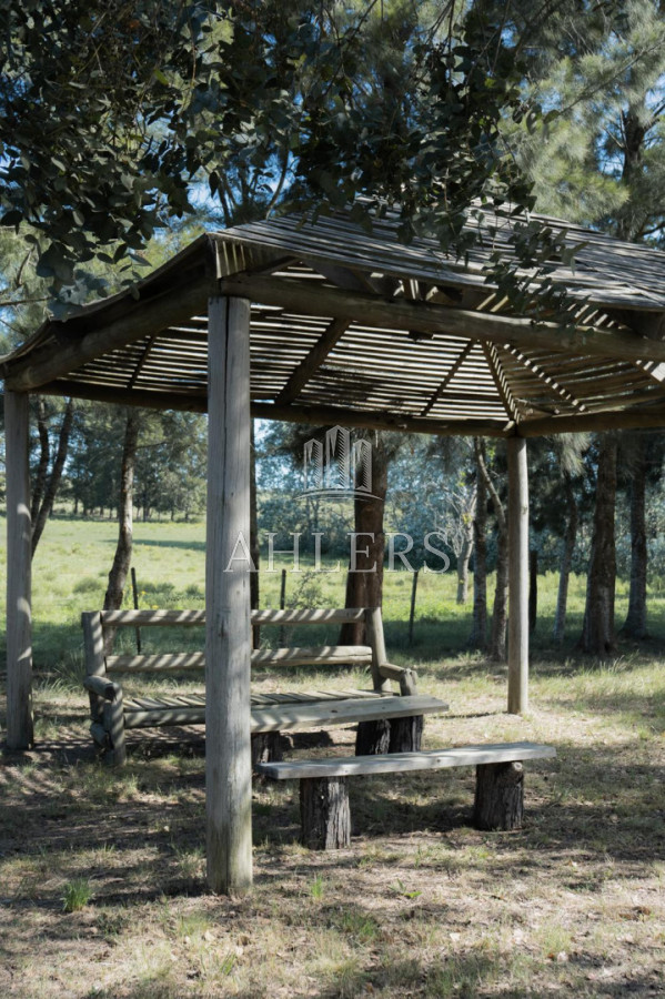 Chacra ID.379 - Excelente Chacra 5hás en Pueblo Edén 