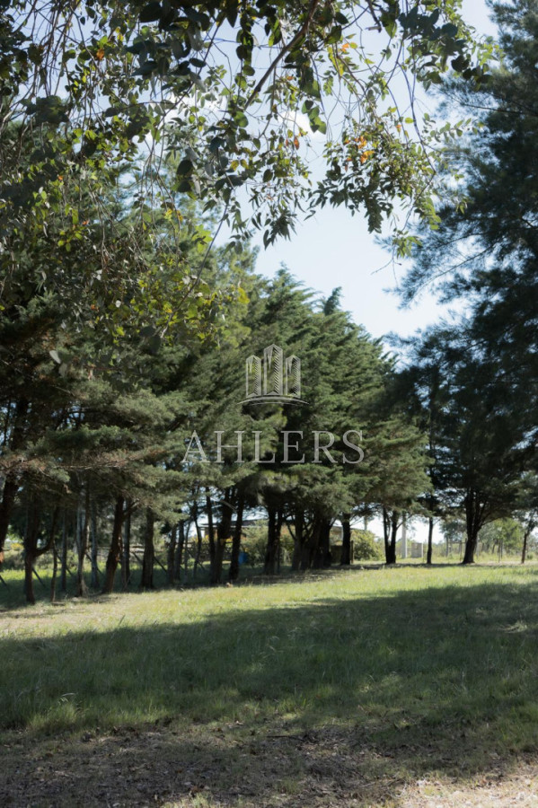 Chacra ID.379 - Excelente Chacra 5hás en Pueblo Edén 