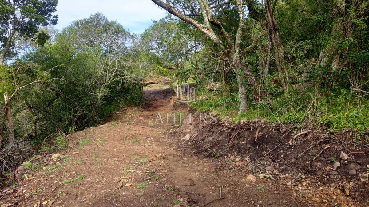 Chacra ID.378 - Chacra en Pueblo Edén 11ha