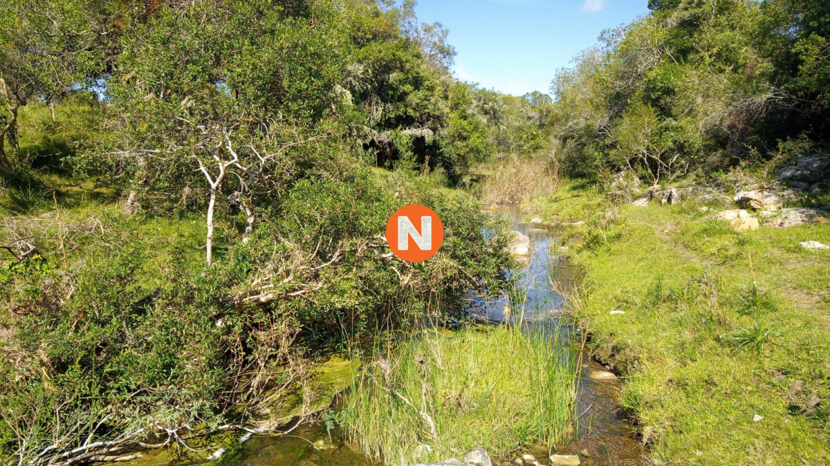 Chacra Ref.222906 - Chacra en Pueblo Edén 11ha