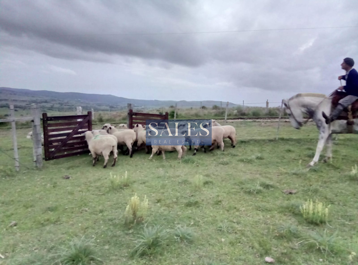 Chacra ID.580 - Chacra en Pueblo Edén 11ha