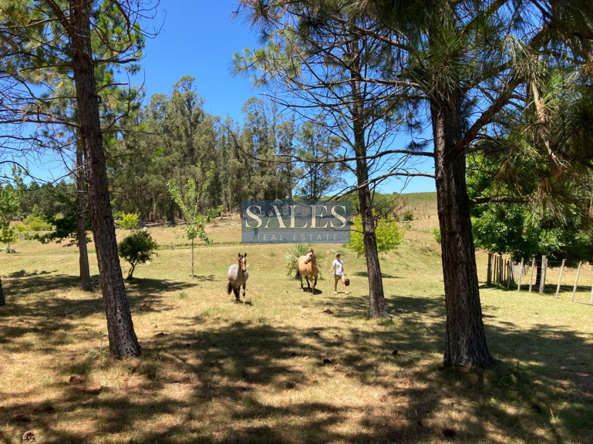 Chacra ID.582 - Chacra de 10 ha en Pueblo Edén Guardia Vieja