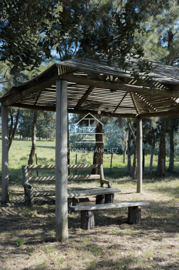 Chacra ID.1906 - Excelente Chacra 5hás en Pueblo Edén 