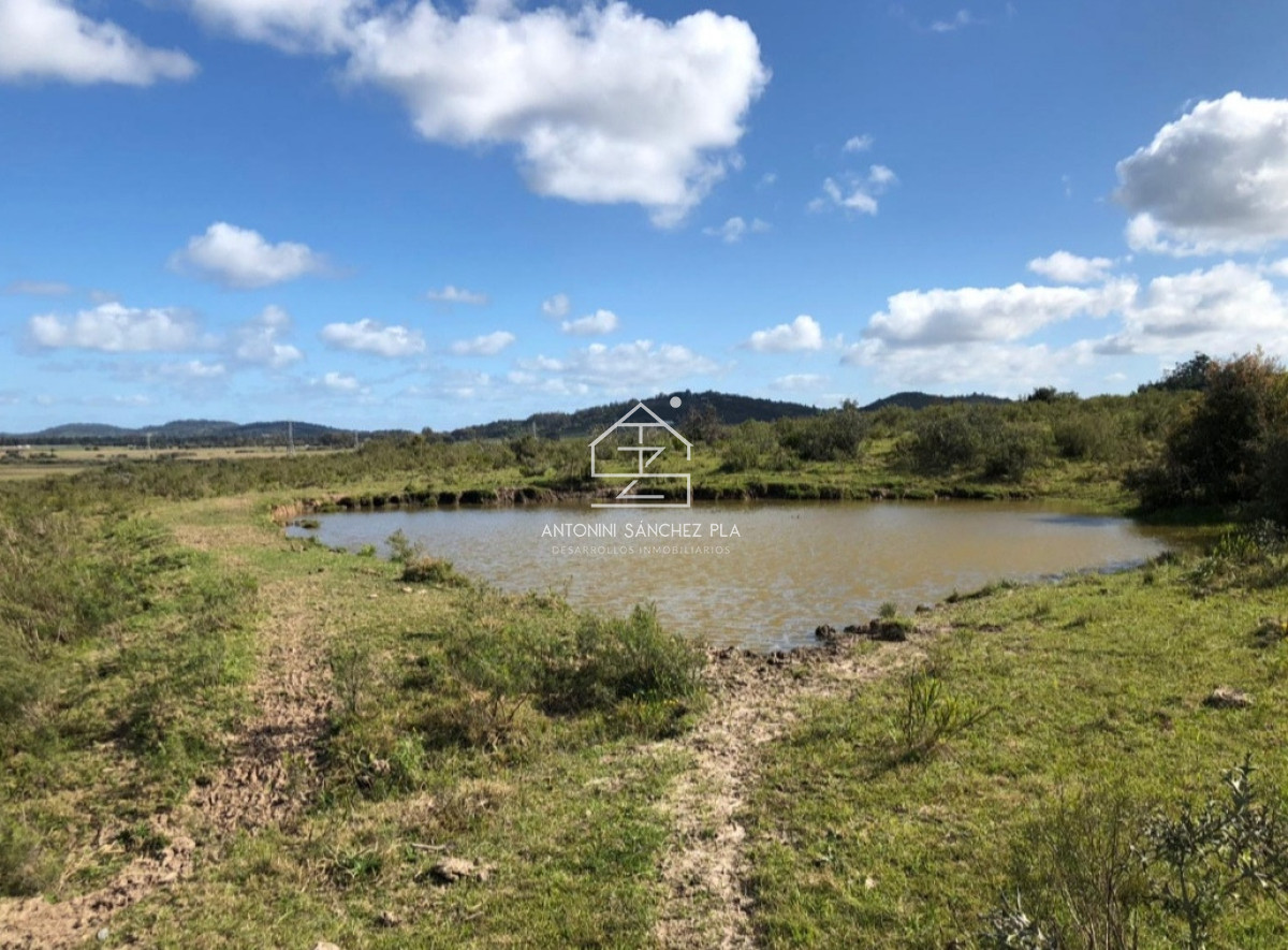 Chacra ID.4474 - Venta de chacra en Lapataia 