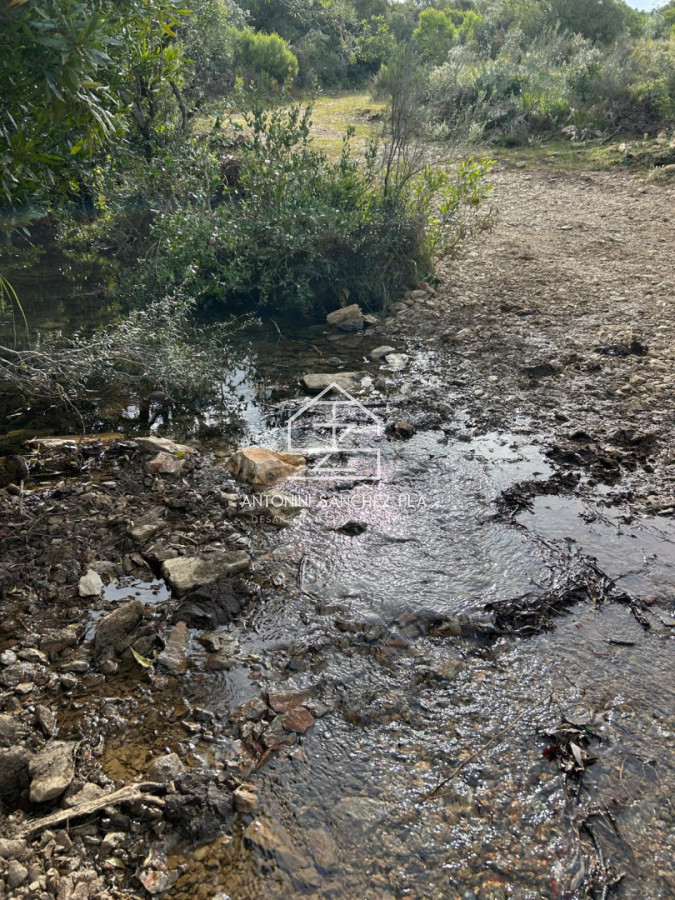 Chacra ID.4606 - Chacra de 19 hectáreas en Pueblo Edén 