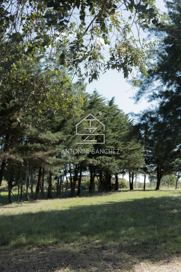 Chacra ID.1906 - Excelente Chacra 5hás en Pueblo Edén 