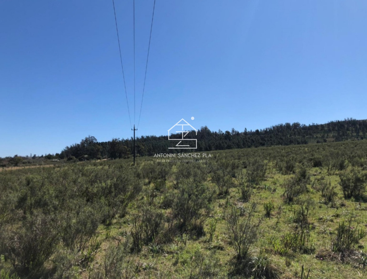 Chacra ID.4474 - Venta de chacra en Lapataia 