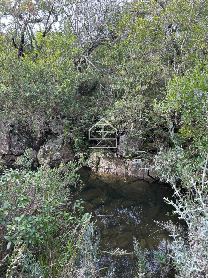 Chacra ID.4606 - Chacra de 19 hectáreas en Pueblo Edén 