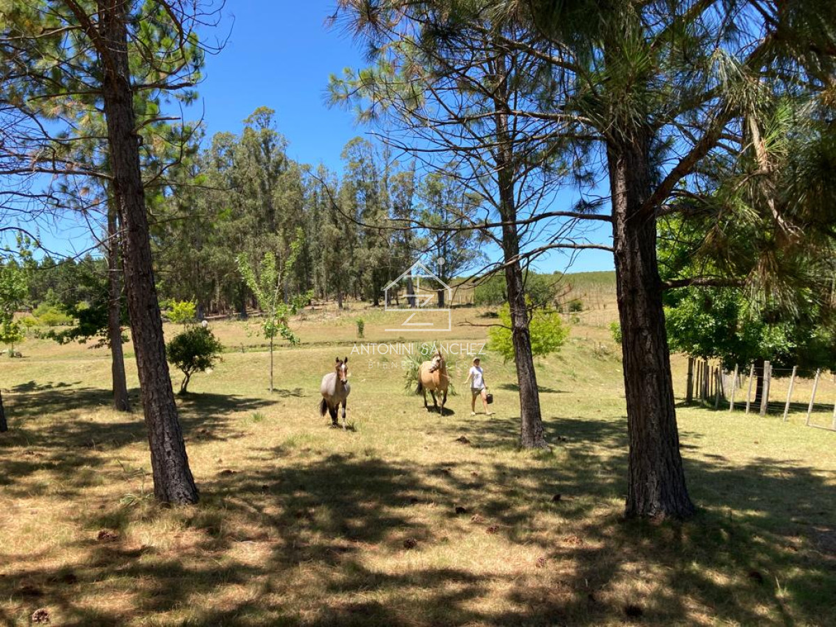 Chacra ID.1909 - Chacra de 10 ha en Pueblo Edén Guardia Vieja