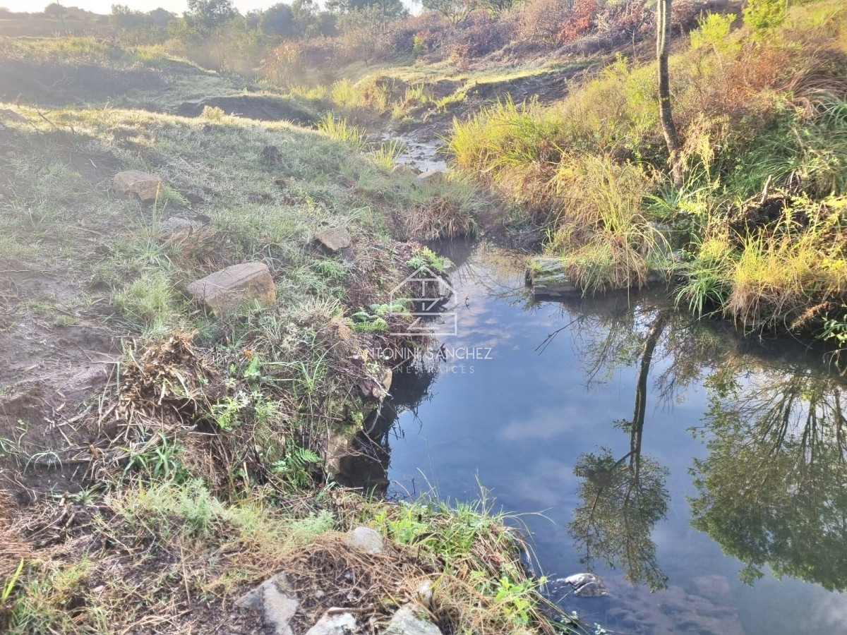Chacra ID.1903 - Excelente Chacra 11 hectáreas Pueblo Eden 