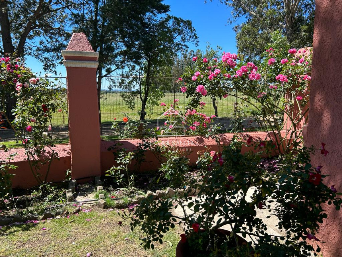 Chacra ID.1908 - Chacra Jardin