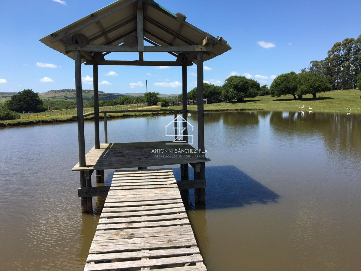 Chacra ID.4608 - Vende chacra de 14.5 ha en Pueblo Edén