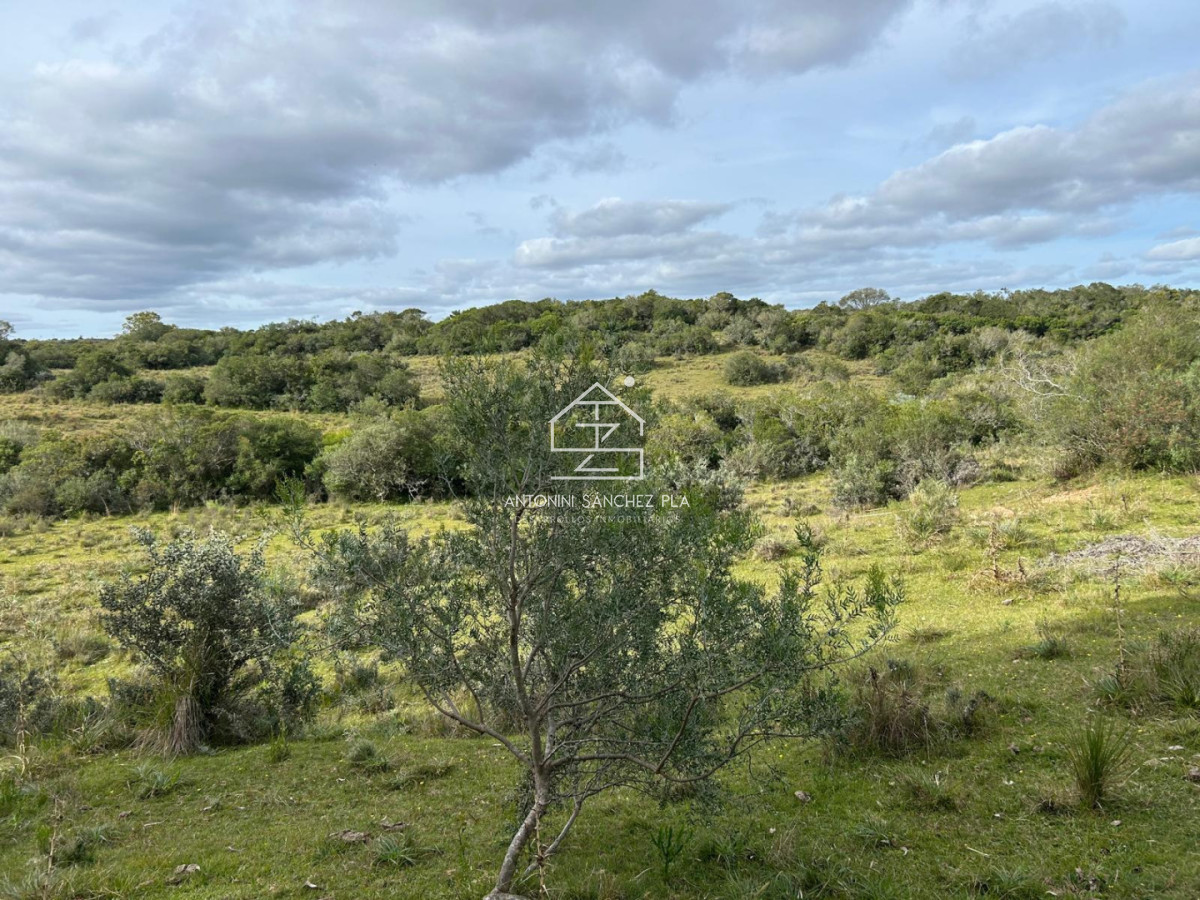 Chacra ID.4606 - Chacra de 19 hectáreas en Pueblo Edén 