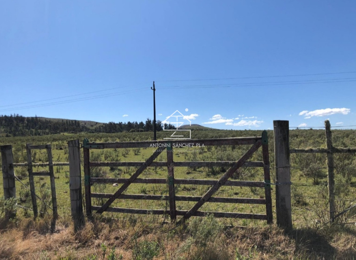 Chacra ID.4474 - Venta de chacra en Lapataia 